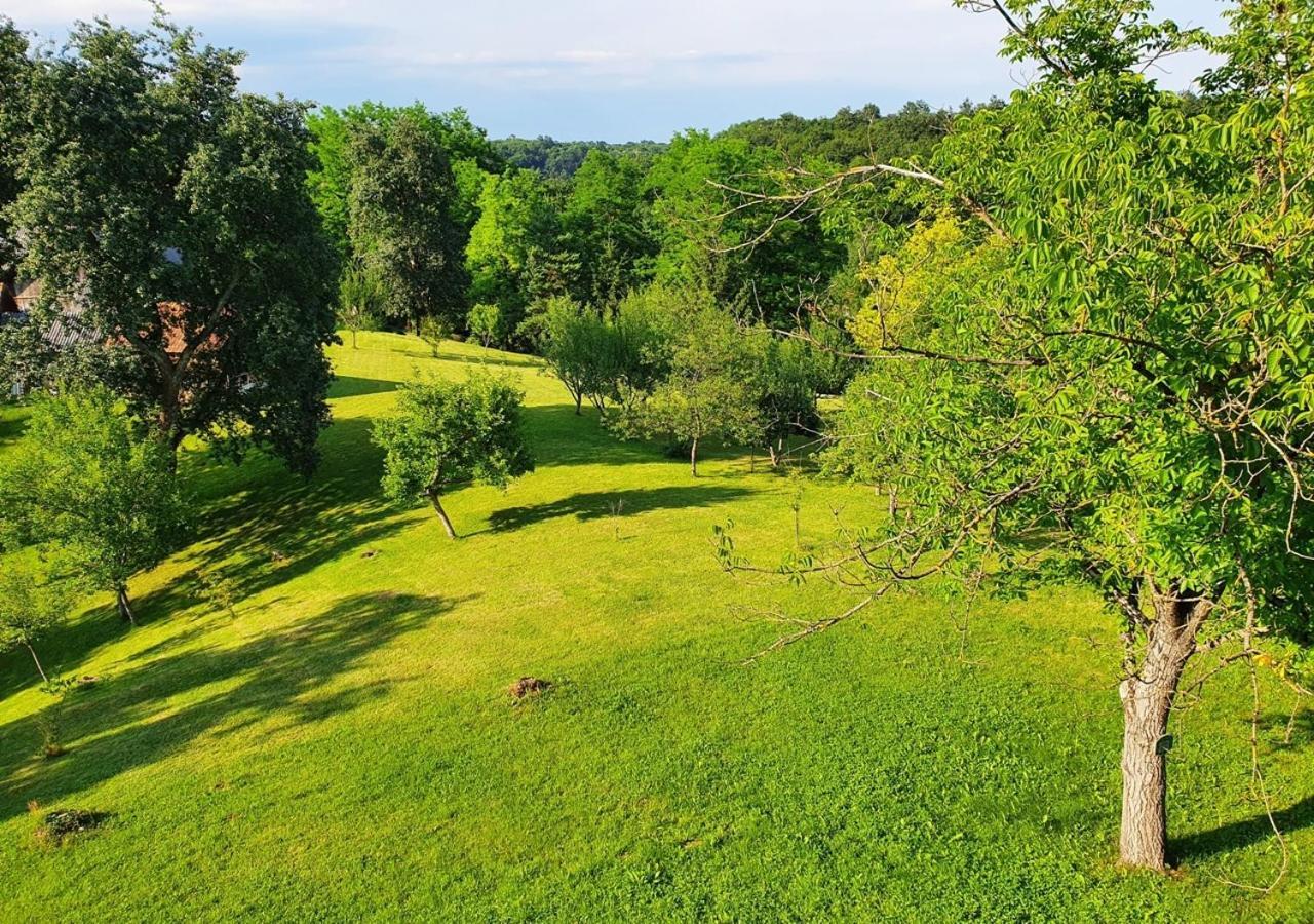 Green Eden Bed and Breakfast Gornji Zvečaj Buitenkant foto