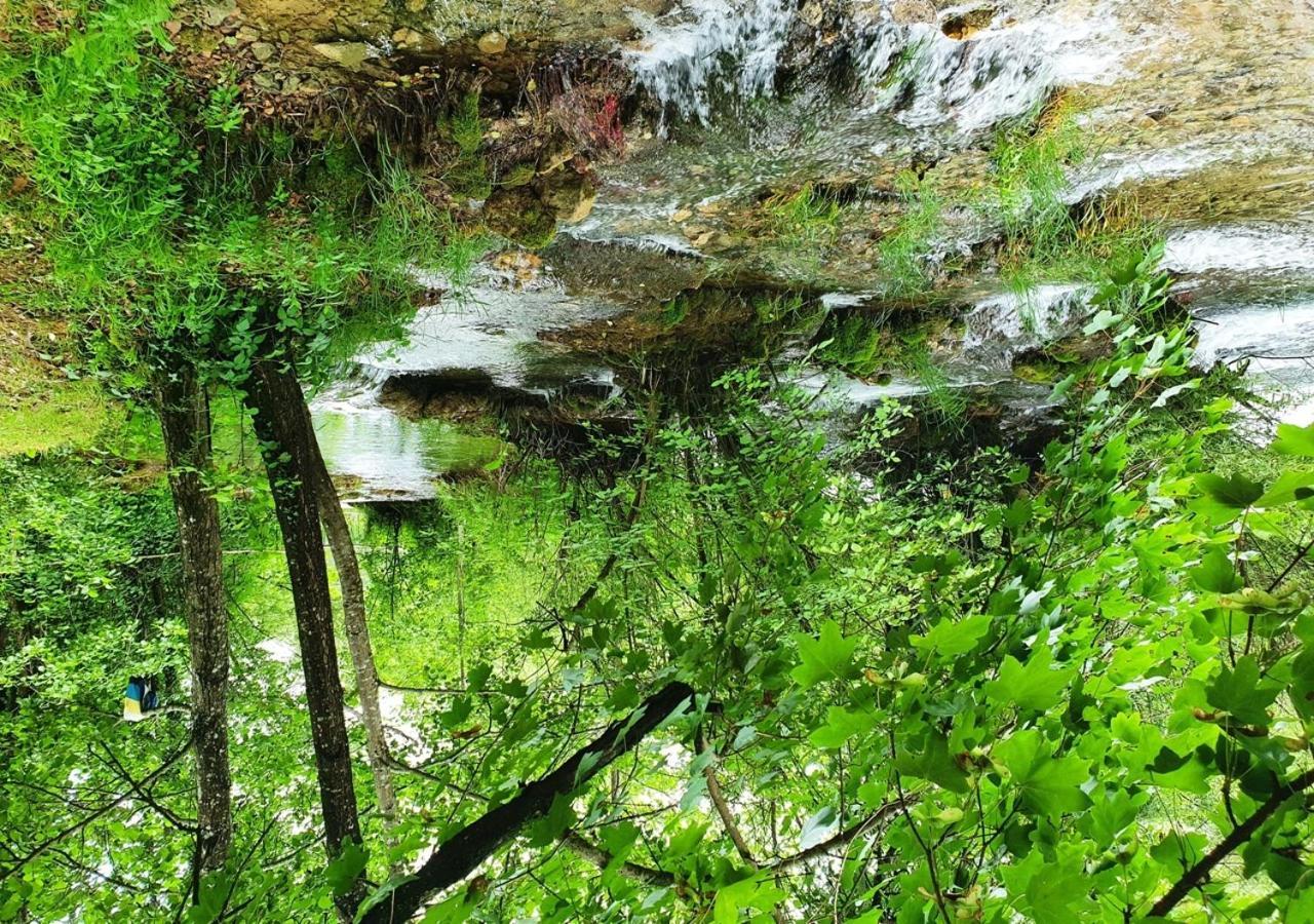 Green Eden Gornji Zvečaj Buitenkant foto