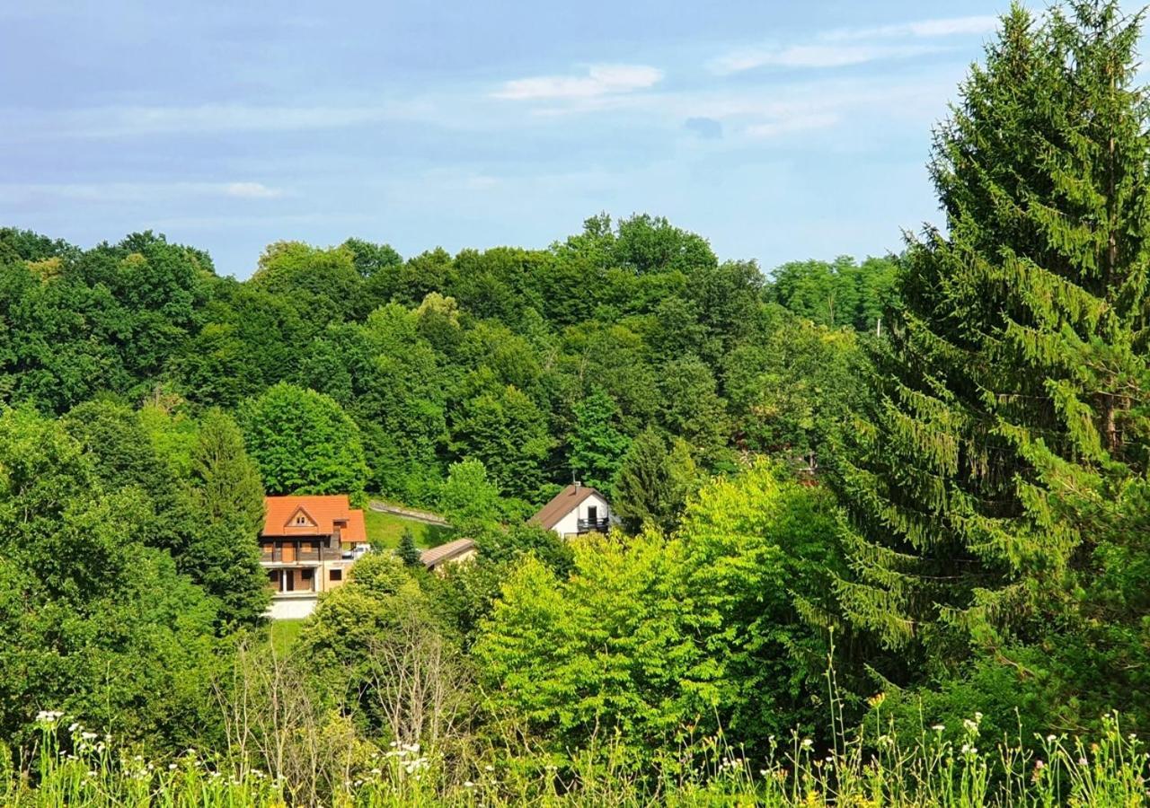 Green Eden Bed and Breakfast Gornji Zvečaj Buitenkant foto