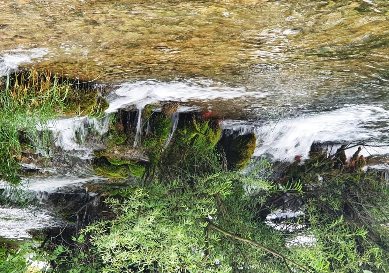 Green Eden Gornji Zvečaj Buitenkant foto