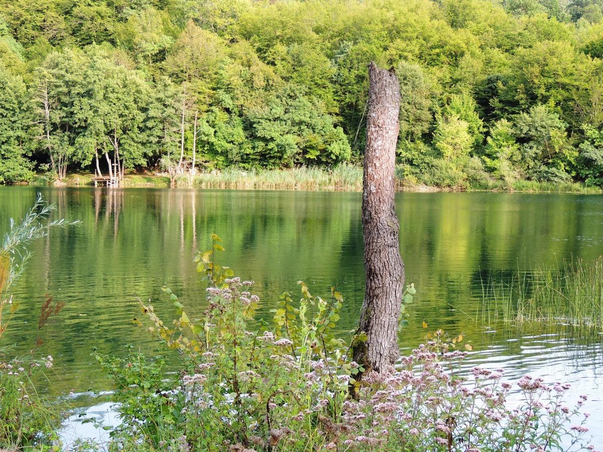 Green Eden Bed and Breakfast Gornji Zvečaj Buitenkant foto