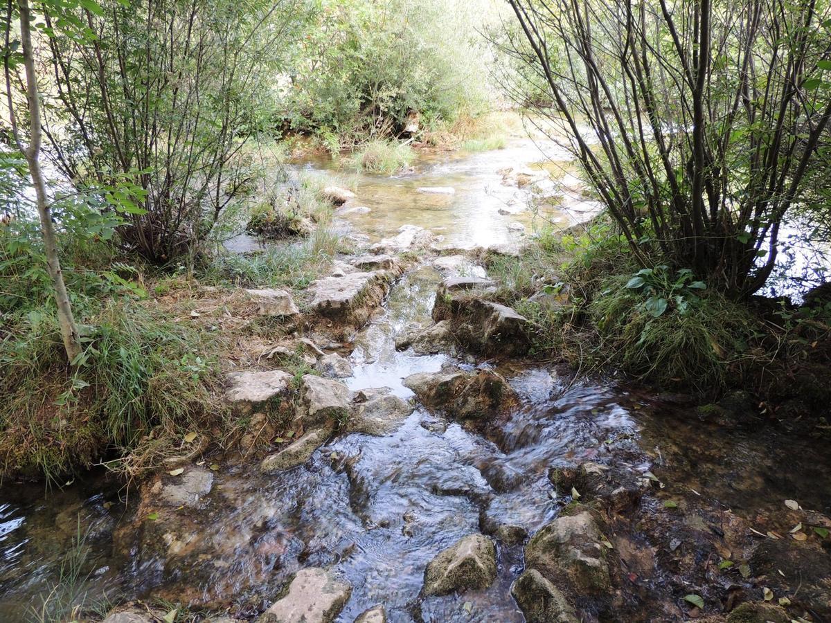 Green Eden Gornji Zvečaj Buitenkant foto